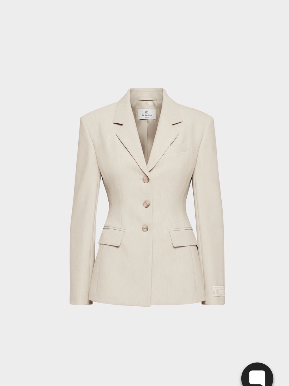 Aritzia Standout blazer